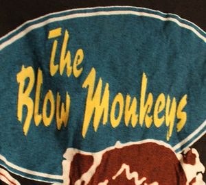 On Sale!! Blow Monke